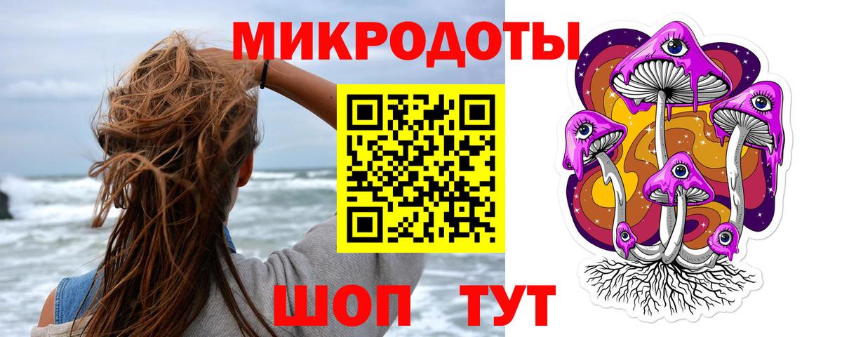 Псилоцибиновые грибы Psilocybe Волгоград