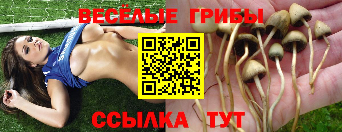 ГАШ  КОКАИН  Конопля  Мефедрон   Сколько стоит  Вход с VPN  Codein  Лсд 25  Волгоград  МЕФ 