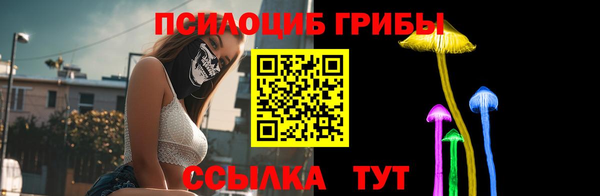 Волгоград  Псилоцибиновые грибы Psilocybe  Вход с VPN 